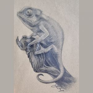 Drawings